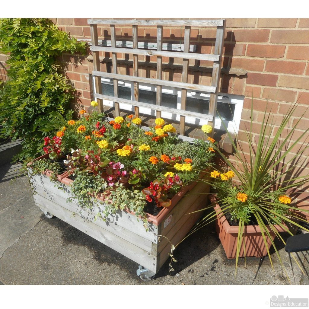 Trellis Planter - Designs For Education