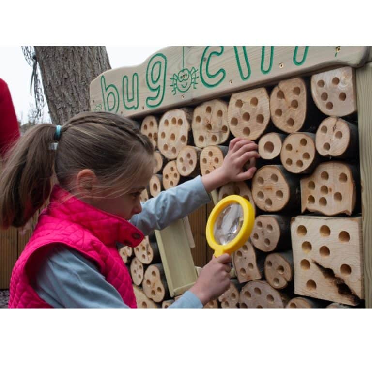 Bug City - Image 5